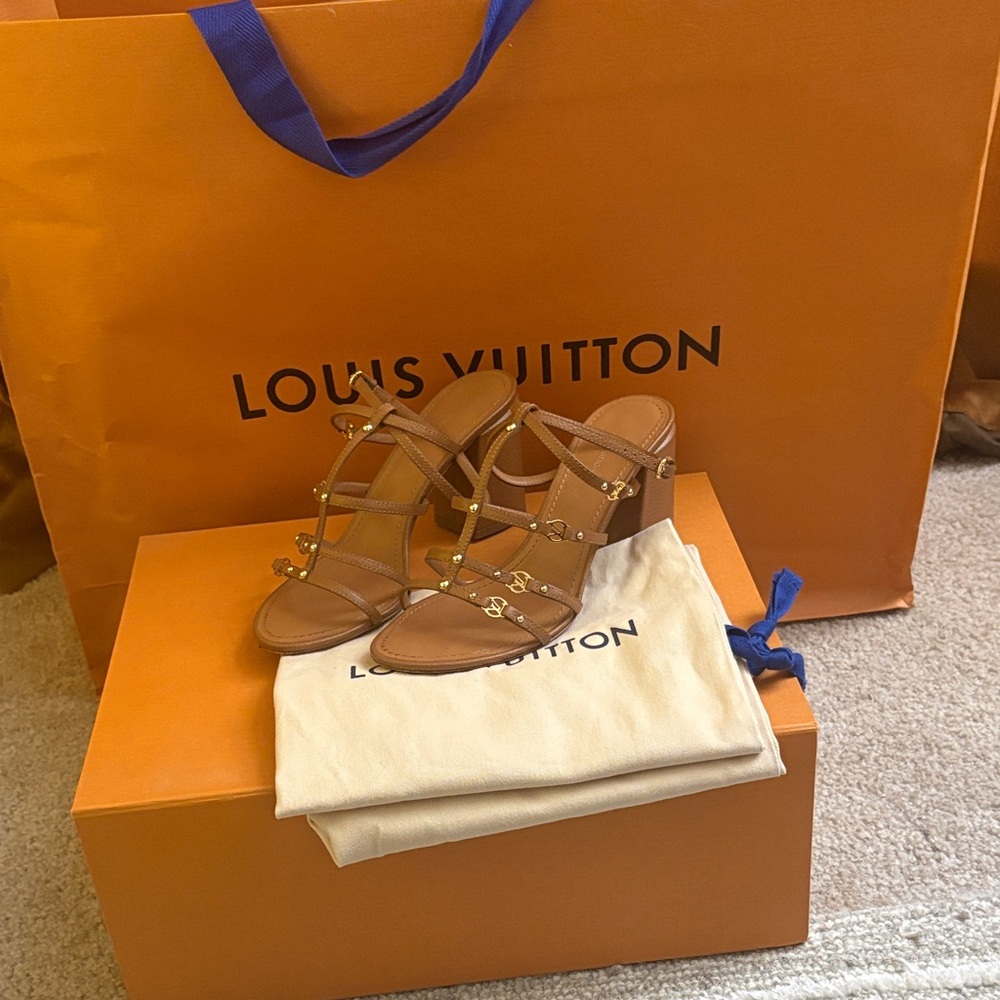 Louis Vuitton Brown Strappy  Roma Sandals